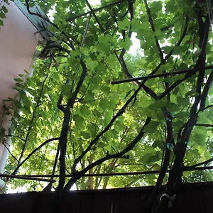 Old Sololaki Hostel